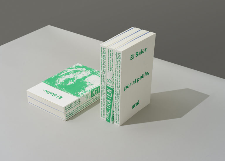 El saler per al poble, ara