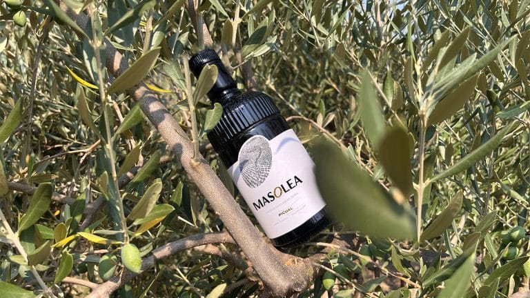 Masolea. Packaging AOVE Picual