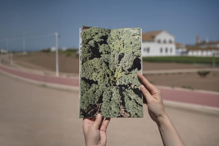Vivir la huerta. Testimonios, amenazas y futuro de la huerta de Valencia